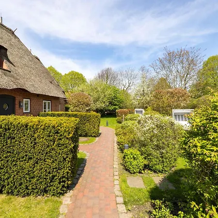 Hues Andersen Hues A - Friesenpesel